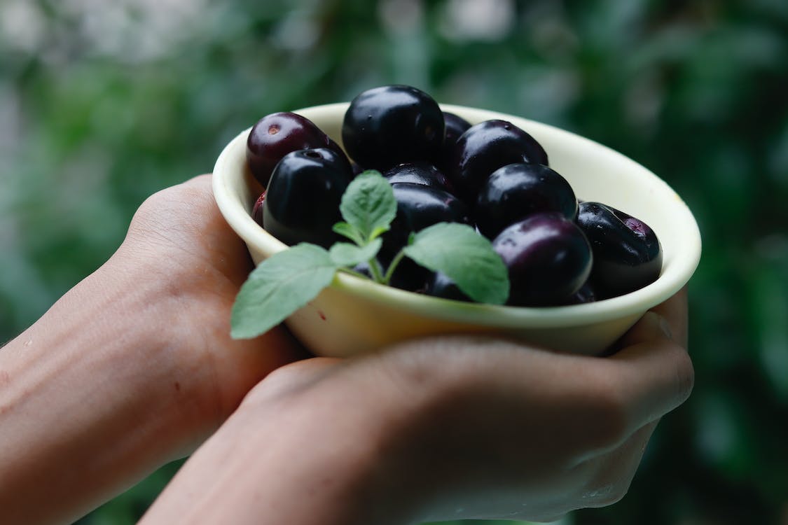 Java Plum - Health Benefits, Uses and Important Facts | Healthy Life ...